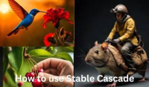 how to install and use stable cascade in A1111