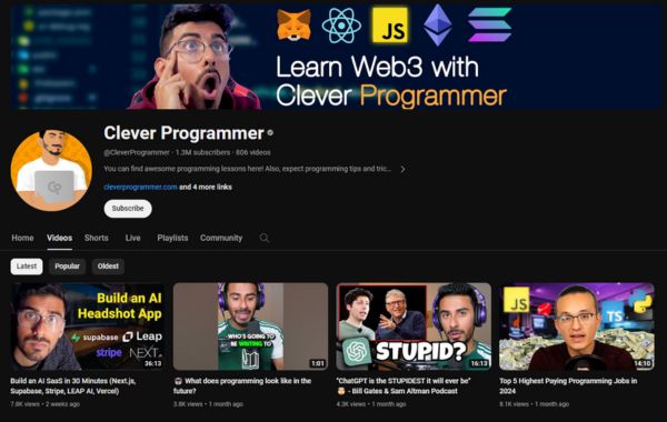 Clever Programmer